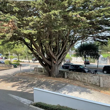 Les Voiles De アパート