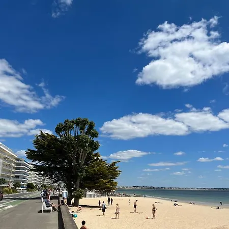 Les Voiles De Appartement