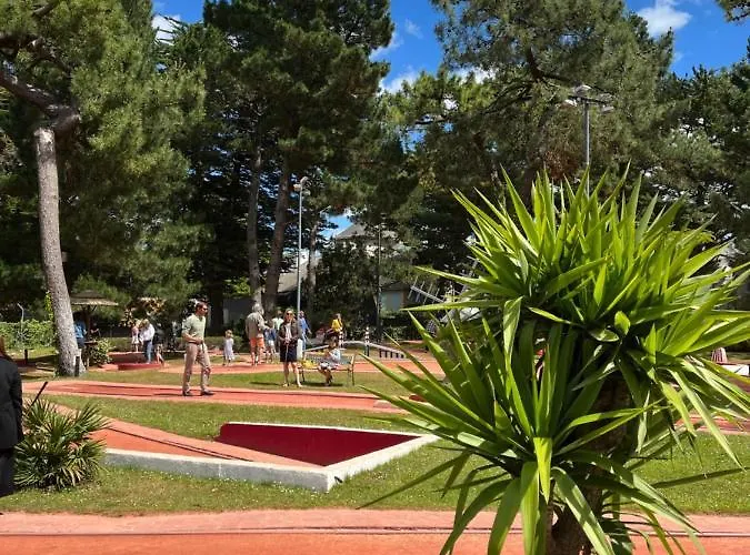 Les Voiles De شقة *