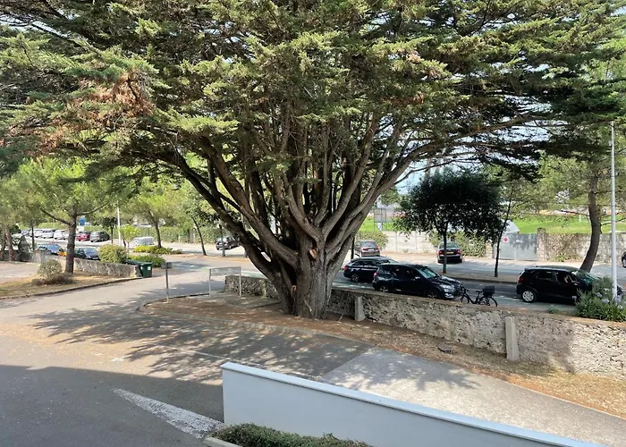 Les Voiles De شقة